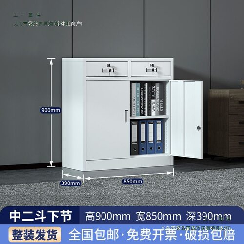 加厚二斗矮柜办公室文件柜财务凭证柜资料档案铁皮柜家用多层鞋柜