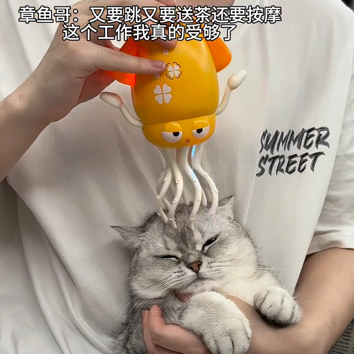 会跳舞的章鱼魔性跳舞爬行儿童玩具宠物八爪鱼电动自嗨电子玩具