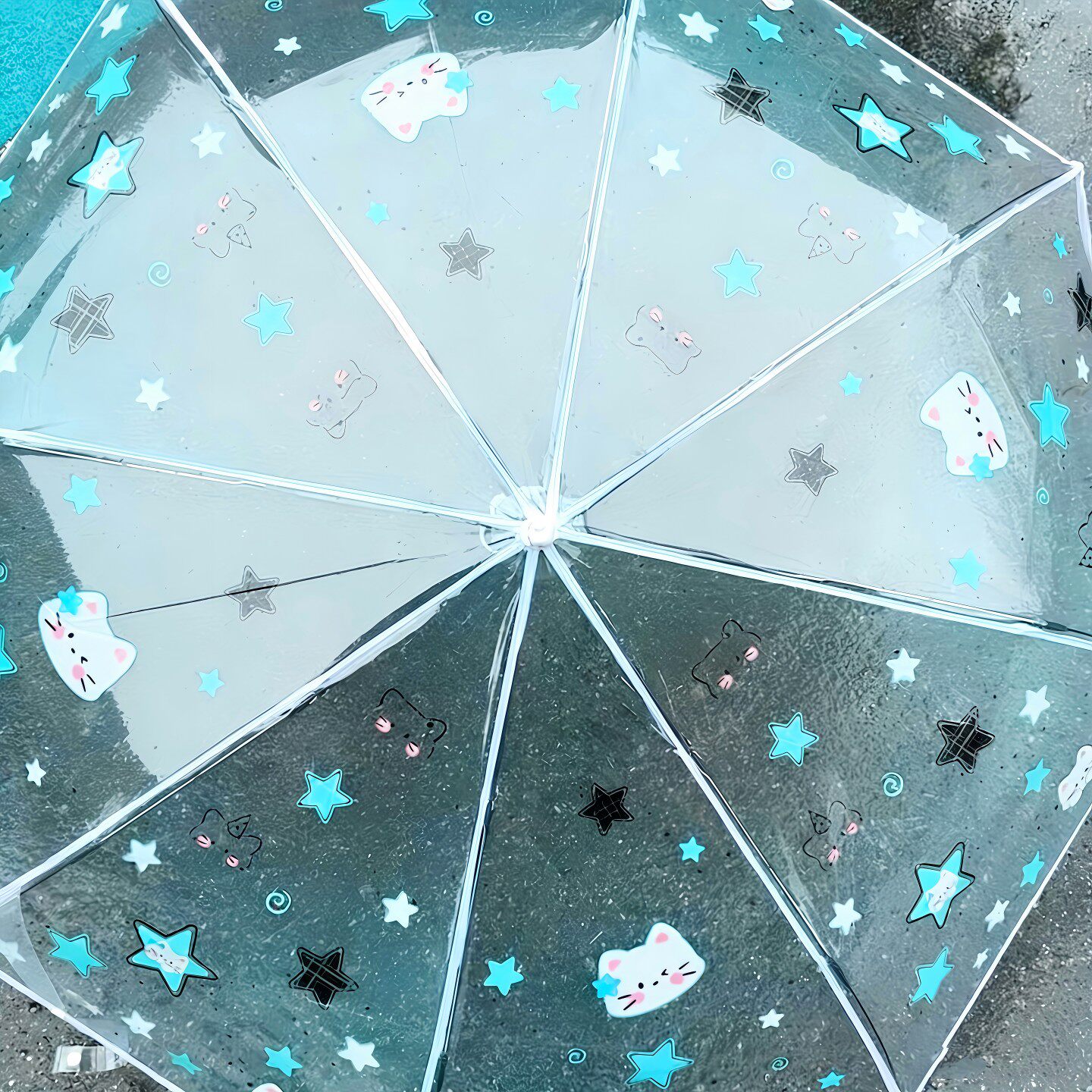 晴雨伞雨伞便携薄荷专用上学小巧透明折叠猫咪绿雨伞加厚加大雨伞