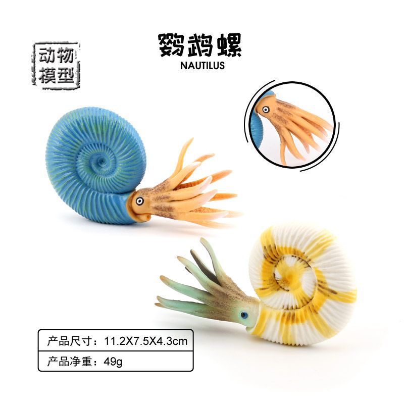 儿童仿真海洋生物模型螺海螺贝壳类儿童玩具早教科教认知玩具