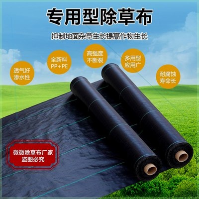新型防草布寸草不生农用加厚果园遮草盖草抗老化透V气透水防草地