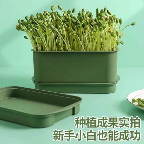 四季都能吃到新鲜豆芽的全自动豆芽发芽神器，食品级大号水培育苗