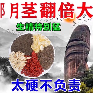 肉苁蓉沙苑子菟丝子枸杞茶袋泡正品中药材男肾补精茶男人四大名泡