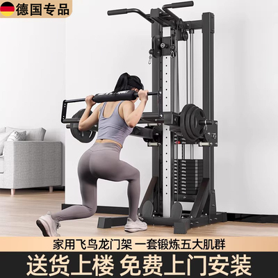 德国龙门架家用多功能高位下拉器