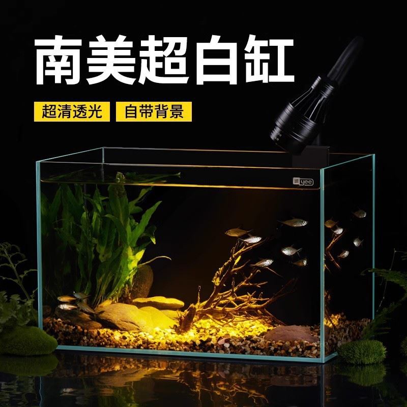 超白玻璃鱼缸客厅小型裸缸造景南美原生溪流缸桌面生态乌龟缸