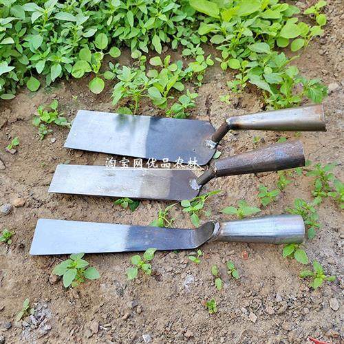 采购产品瓜铲压力瓜铲直铲长铲锰钢锋利种植瓜压力瓜蔬菜挖掘插花,鲜花速递/花卉仿真/绿植园艺,铲子,淘宝优惠券,粉丝福利购,淘宝优惠卷
