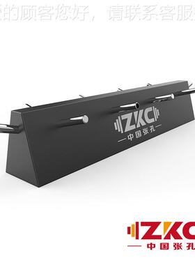 张杠铃架片商用孔健身房杠铃片存放架片放置架展示架健铃38618身
