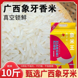 象米王台山象牙香米2.5kg  广东特产优质大米 原产地直供z