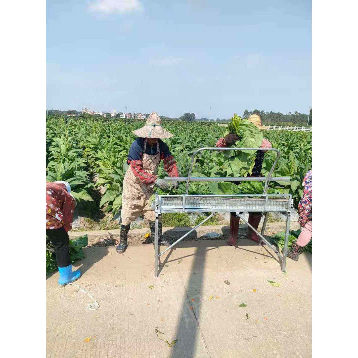 烤烟设备梳式烟夹工作台烤房烤烟编烟机烟夹子烤烟桌子专用操作台