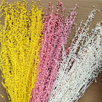 爆款迷你豆永生花干花花束家居装饰婚庆插花道具客厅摆设拍摄道具