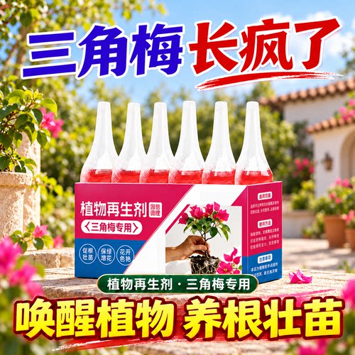 三角梅免稀释水溶营养液保花保果