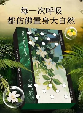 车载香薰栀子香薰浴室香氛车载香薰卧室空气清新剂汽车小香砖DY