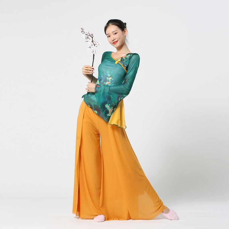 日本无印MUJIE古典舞服装飘逸夏季新款网纱演出广场女团体服身韵