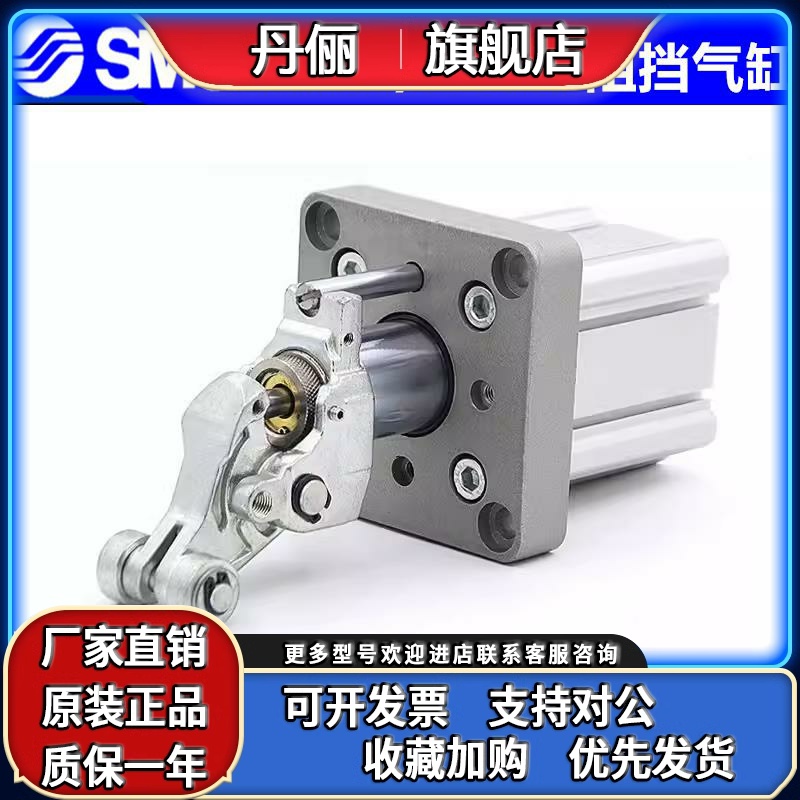 SMC止动阻挡气缸RSA RSH RS2H50A/63/80-30-40DL/M BL/M TM-X2701