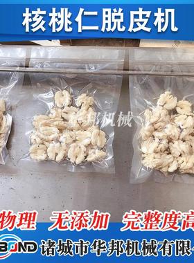 皮核桃仁打设内纸皮机 核桃肉设去衣备 松子仁352去皮备厂家供应