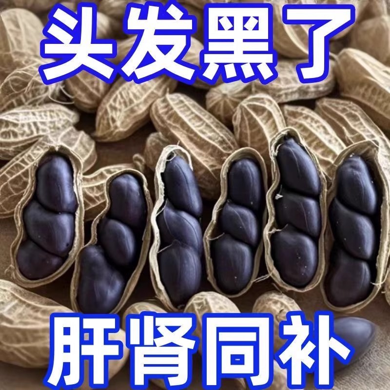 原味富硒黑花生带壳小粒黑花生味甜黑皮花生米500g云南特产黑花生