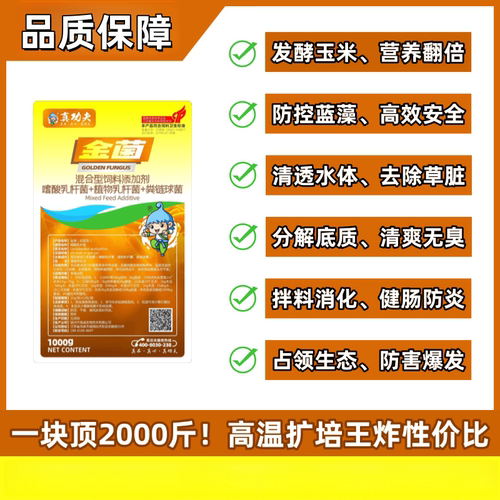 真功夫金菌全能乳酸菌控制蓝藻