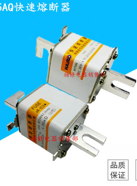 RS74B/RS74C/RS75B/RS75AQ快速熔断器RS76AYK/RS72B RS73A快熔