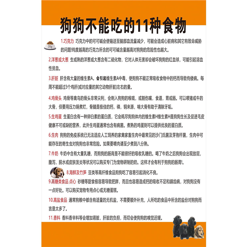 养狗小常识海报狗狗不能吃的11种食物宠物医院诊所美容店装饰墙画