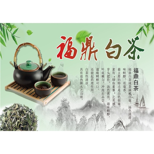 福鼎白茶茶背景墙装饰茶文化墙贴字画书房茶叶店布置茶楼墙贴画