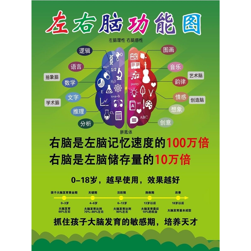 人体开发大脑左右脑部功能图宣传栏海报印制展板写真喷绘挂图墙贴,个性定制/设计服务/DIY,写真/海报印制,淘宝优惠券,粉丝福利购,淘宝优惠卷