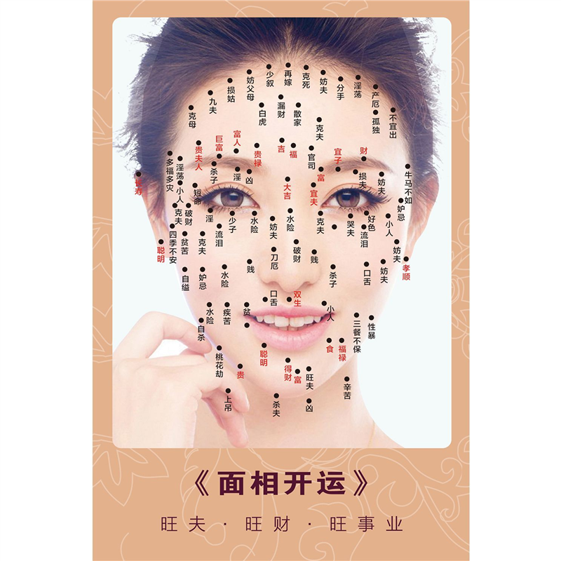 男女脸部点痣美容院祛痣祛斑海报图片面痣面相取痣挂图广告贴纸