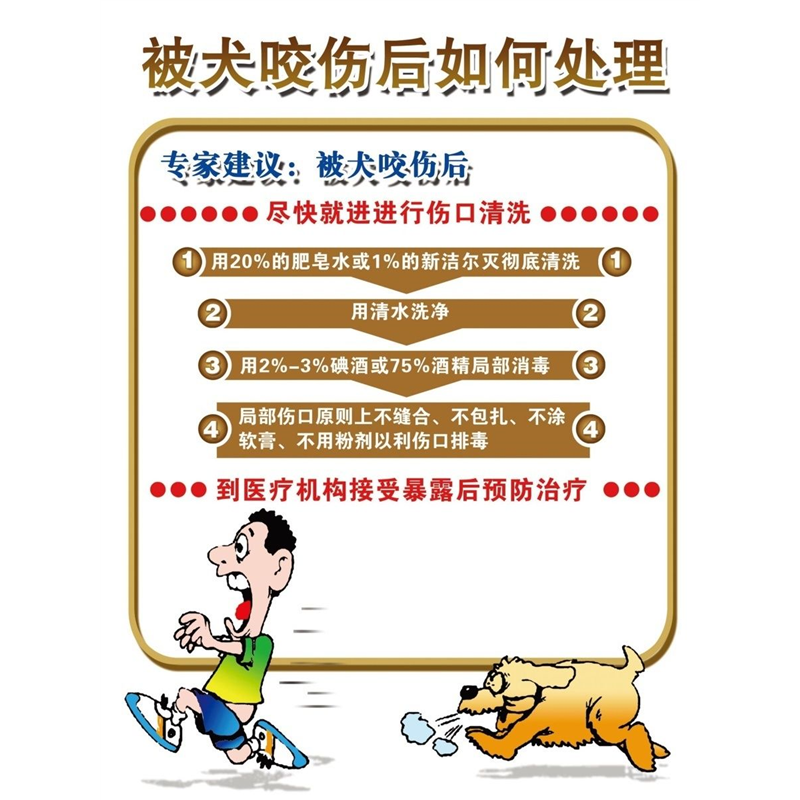 被犬咬伤后如何处理海报展板墙贴墙纸装饰画KT板,个性定制/设计服务/DIY,写真/海报印制,淘宝优惠券,粉丝福利购,淘宝优惠卷