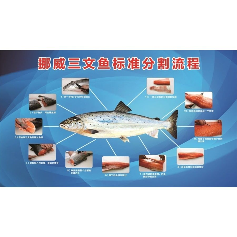 挪威三文鱼标准分割流程海报展板墙贴墙纸装饰画挂图,个性定制/设计服务/DIY,写真/海报印制,淘宝优惠券,粉丝福利购,淘宝优惠卷
