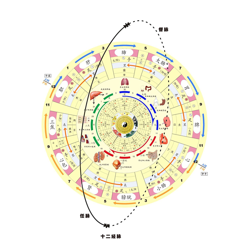 太极图阴阳鱼后天八卦二十四山十二时辰经络详图中医五行周易易经,家居饰品,软装墙贴,淘宝优惠券,粉丝福利购,淘宝优惠卷