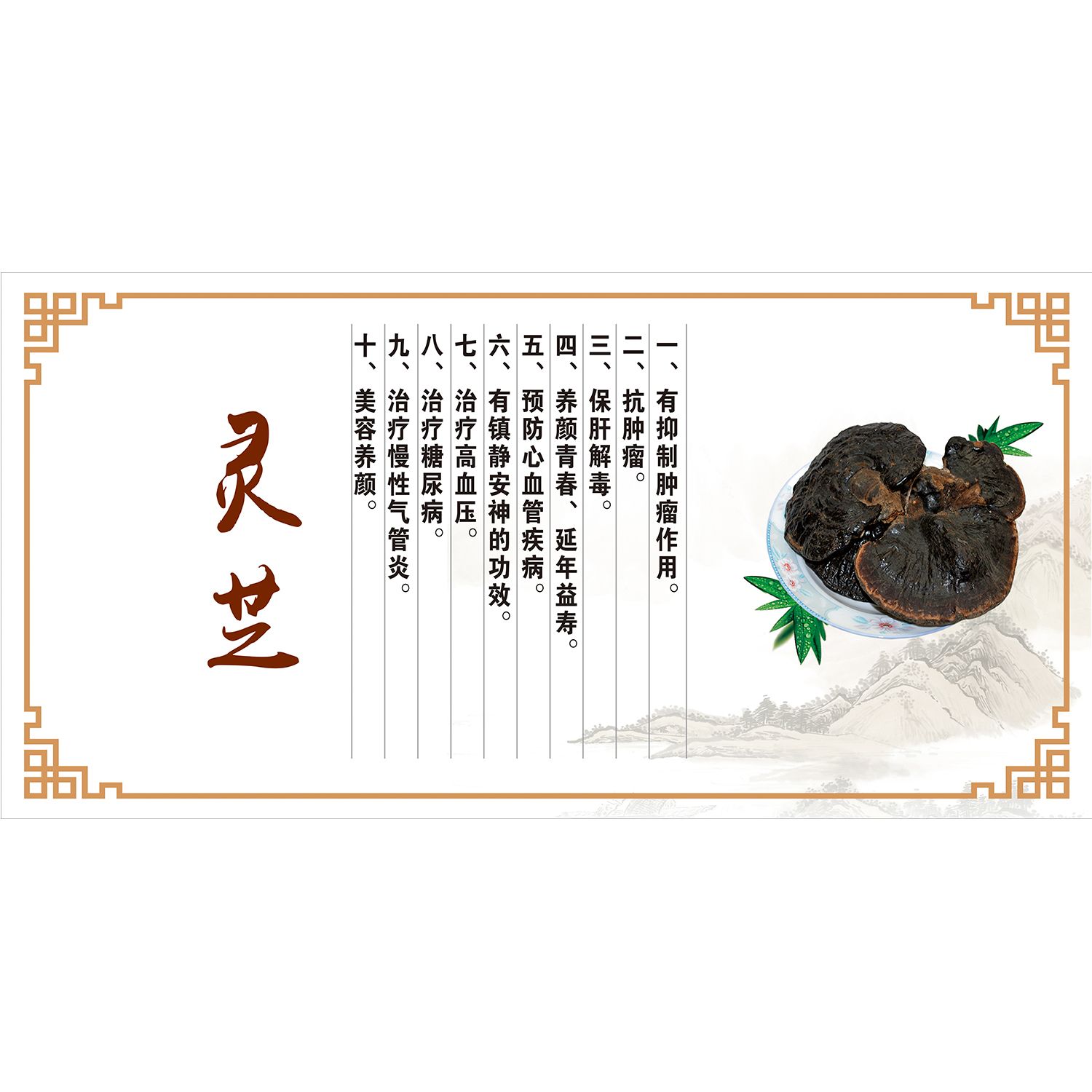 灵芝养生海报展板中国传统养生文化养生之道灵芝的成分墙贴纸
