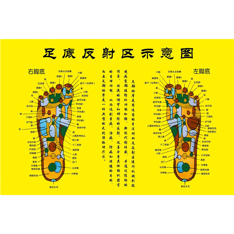 足底反射区示意图海报展板足疗的好处脚底反射示意图墙贴墙纸挂图,个性定制/设计服务/DIY,写真/海报印制,淘宝优惠券,粉丝福利购,淘宝优惠卷