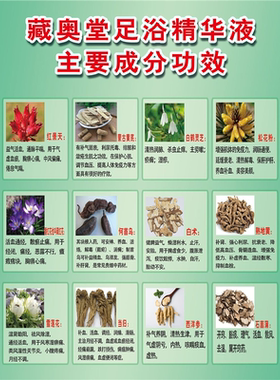 藏奥堂精华浴足液挂画中药泡脚店贴纸薰脚蒸足装饰画中医养生海报