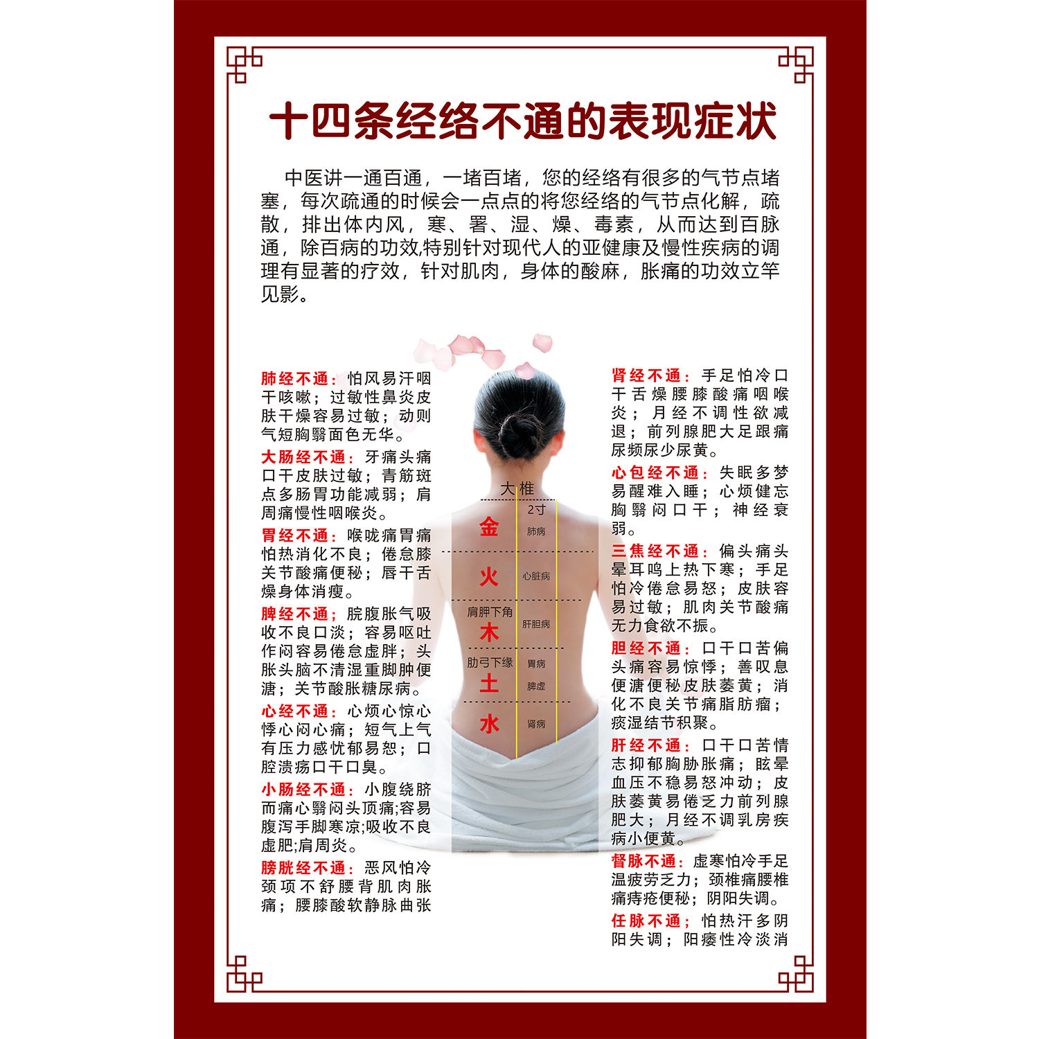 人体十四条经络不通的表现症状海报中医养生馆装饰画经络挂图贴纸