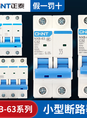 正泰NXB空气开关小型断路器总开电闸100A空开1P 2P 3P4p125a DZ47