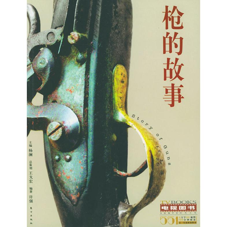 正版的故事——电视图书/杨澜主编