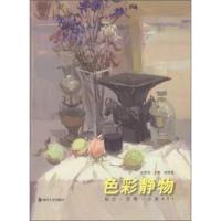 正版成功大讲堂系列丛书--励志·艺考·分享A01色彩静物