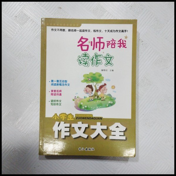 正版黄冈名师陪我读作文:小学生作文大全