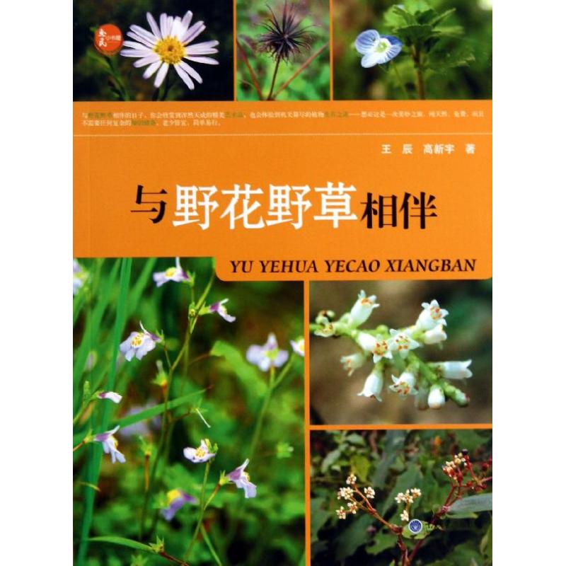 正版与野花野草相伴