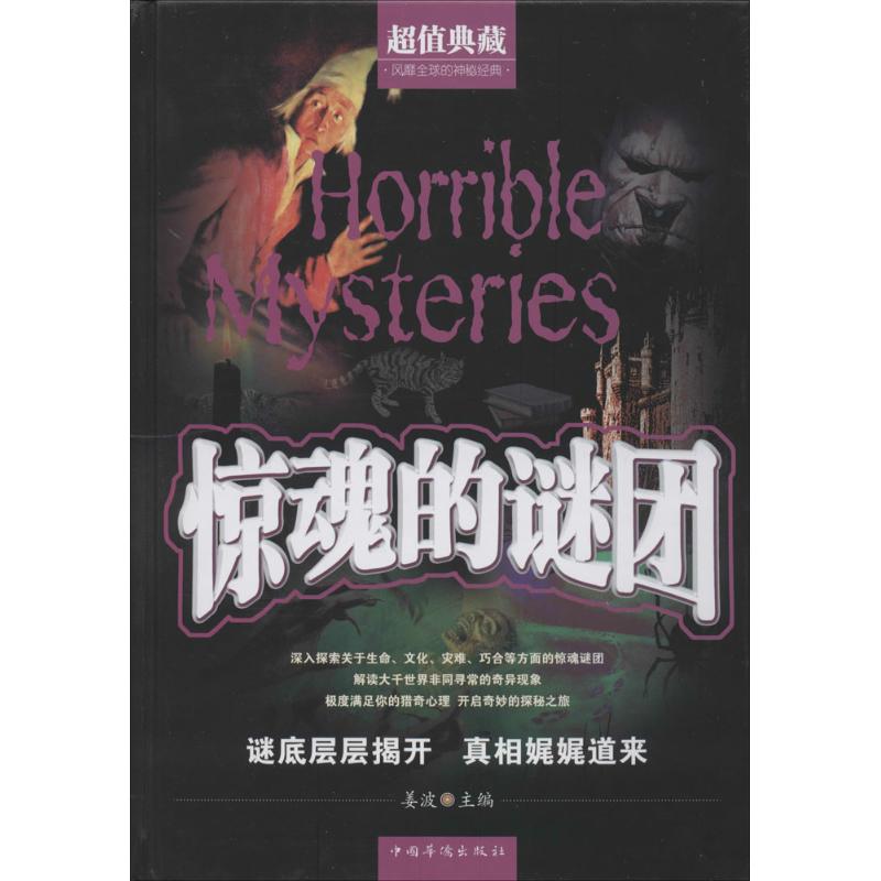 正版惊魂的谜团