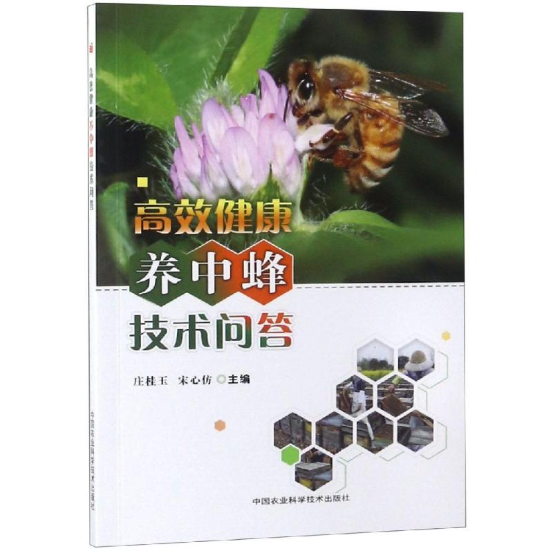 正版健康养中蜂技术问答