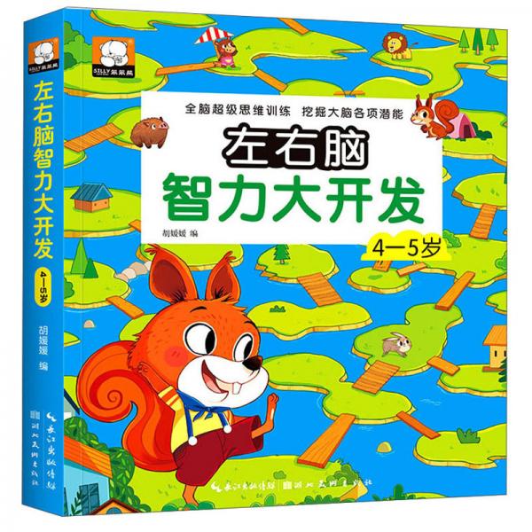 正版左右脑智力大开发 4-5岁