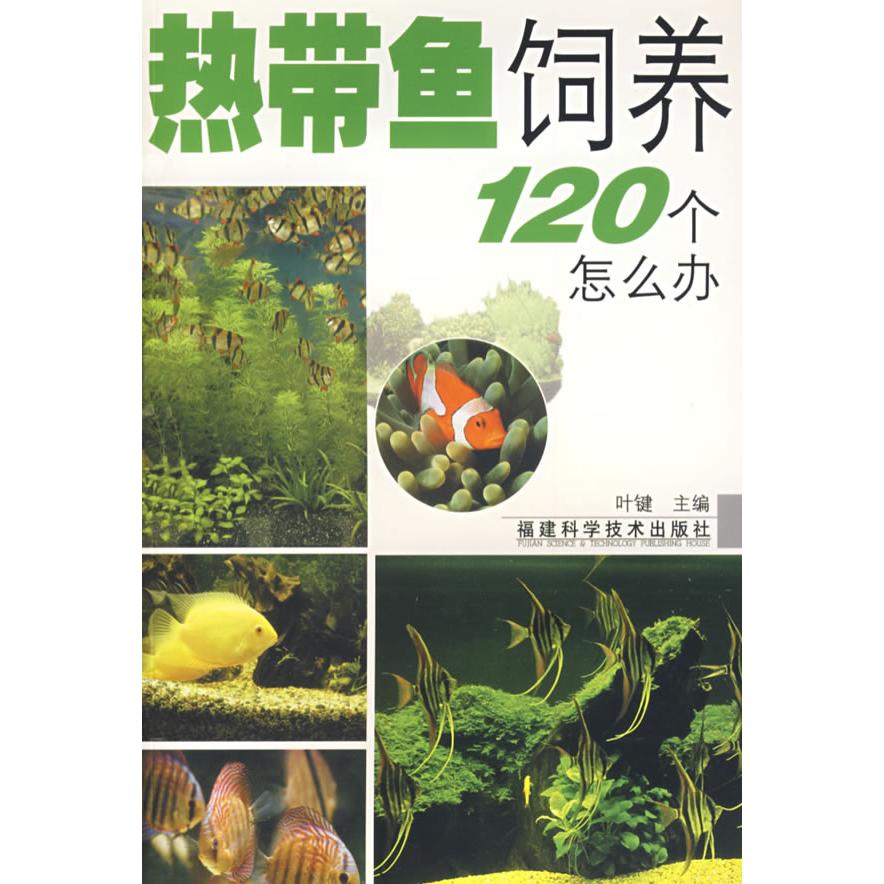 正版热带鱼饲养120个怎么办