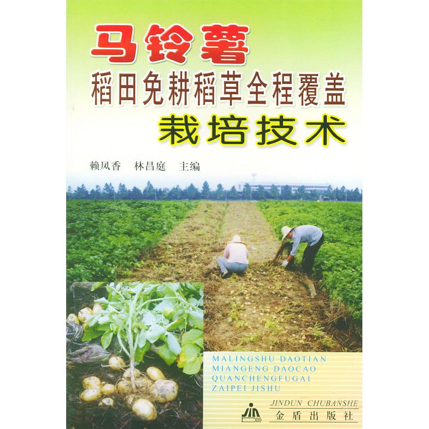正版马铃薯稻田免耕稻草全程覆盖栽培技术