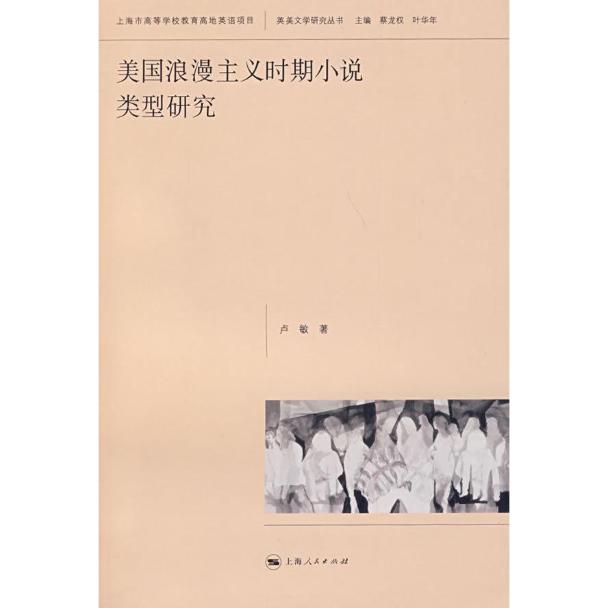正版美国浪漫主义时期小说类型研究/英美文学研究丛书