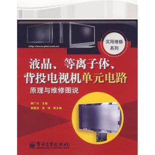正版液晶等离子体背投电视机单元电路原理与维修图说/实用维修系列