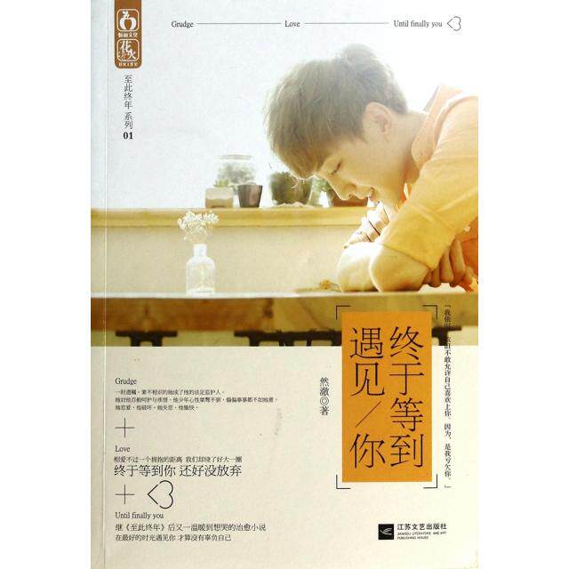 正版终于等到遇见你/至此终年系列