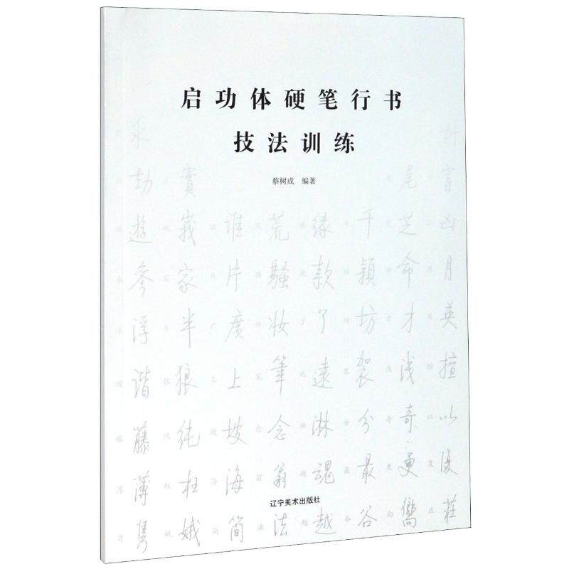 正版启功体硬笔行书技法训练