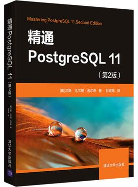 精通PostgreSL 11(第2版)正版