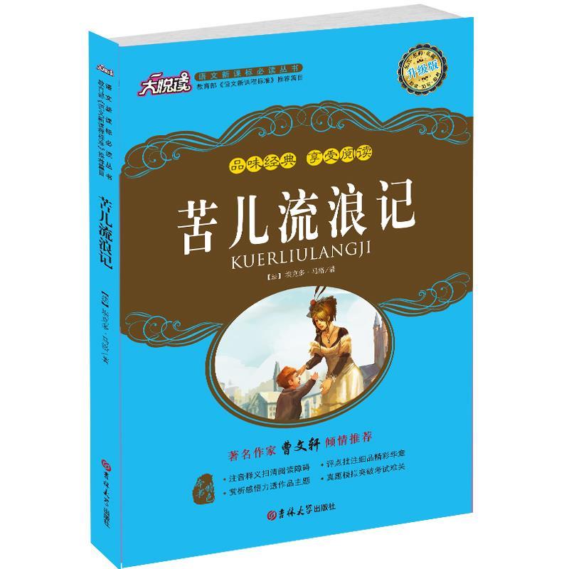 正版苦儿流浪记
