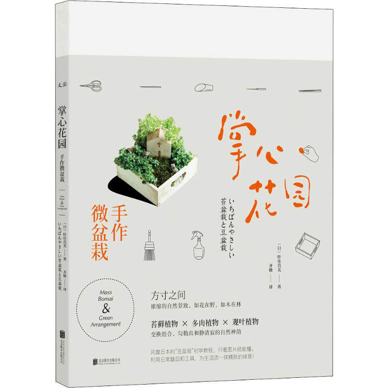 正版掌心花园 手作微盆栽